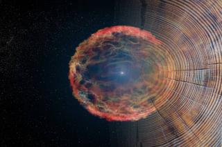 Anéis de árvores revelam supernovas e tempestades solares