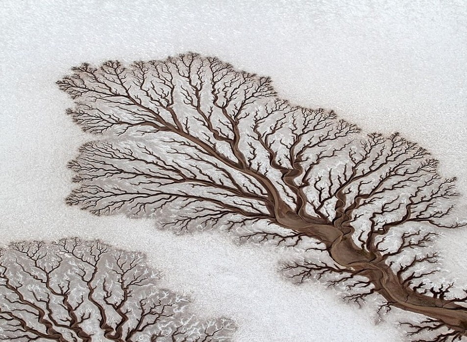 Esta forma sinuosa parece uma árvore morta na neve, mas é um leito de rio através do deserto da Baja California, México.