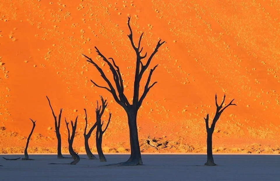 A duna parece estar pintada de laranja nesta imagem tirada dentro do Parque Namib-Naukluft, Namíbia.