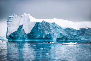 Capturando a Antártica em fotos
