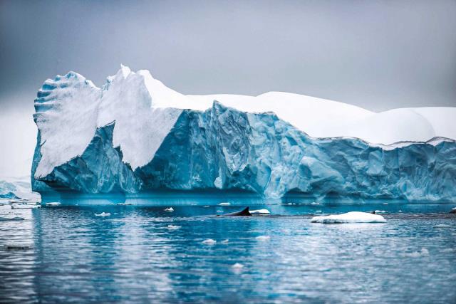 Capturando a Antártica em fotos