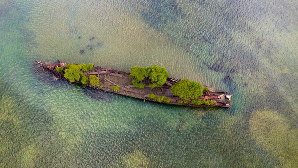 Um navio se transformou em uma reserva natural