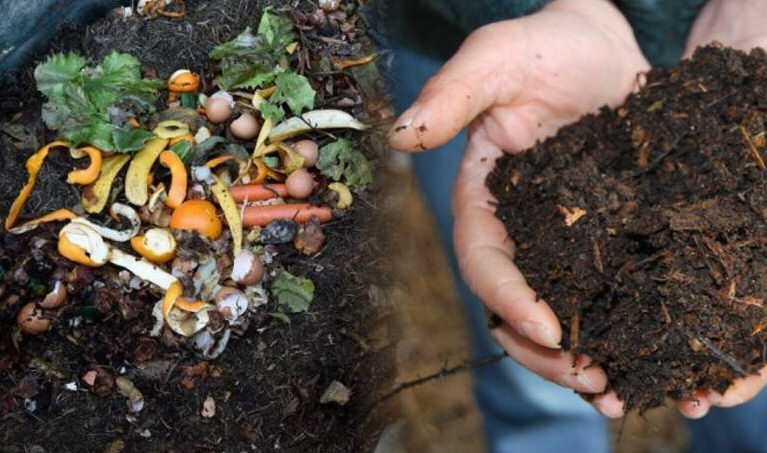 Ajudando o meio ambiente em casa: como fazer compostagem